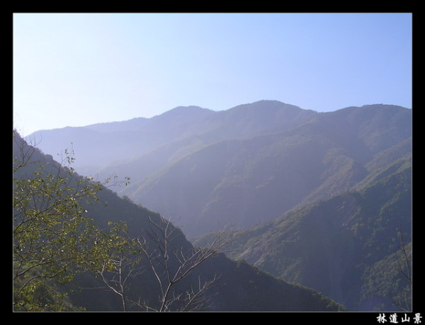 【南投 景點】丹大林道 | 遺失的福爾摩沙樂章