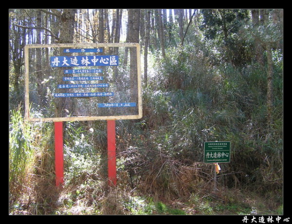 【南投 景點】丹大林道 | 遺失的福爾摩沙樂章
