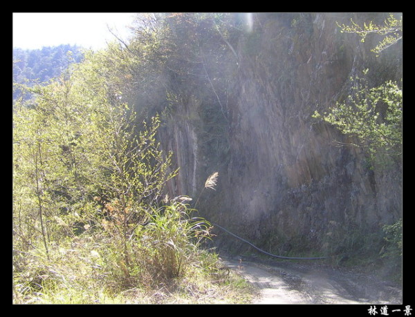 【南投 景點】丹大林道 | 遺失的福爾摩沙樂章