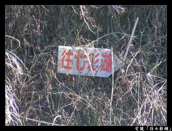 【南投 景點】丹大林道 | 遺失的福爾摩沙樂章