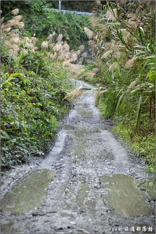 但是這條小路路況不是很好，如果是房車或是底盤較低的車輛，則不建議開車前往。