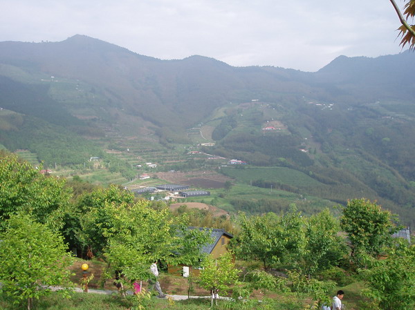 【新竹 景點】巴棍農場悠閒之旅