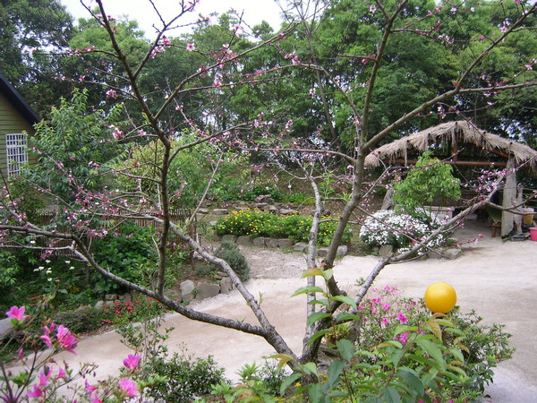 【新竹 景點】巴棍農場悠閒之旅