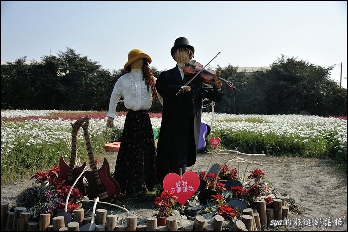 【雲林 景點】莿桐花海 | 孩沙里的地毯