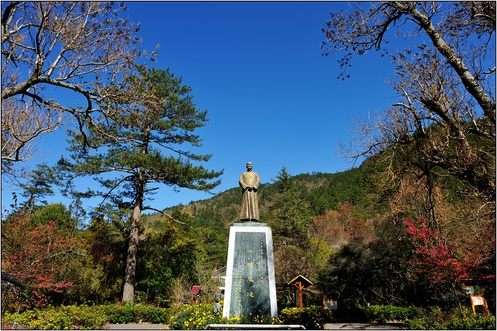 【台中 賞櫻景點】武陵農場。雪霸國家公園 (春-櫻花、冬-梅花)
