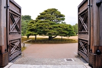 【日本】 戀戀京都 | 京都景點、住宿、交通分享