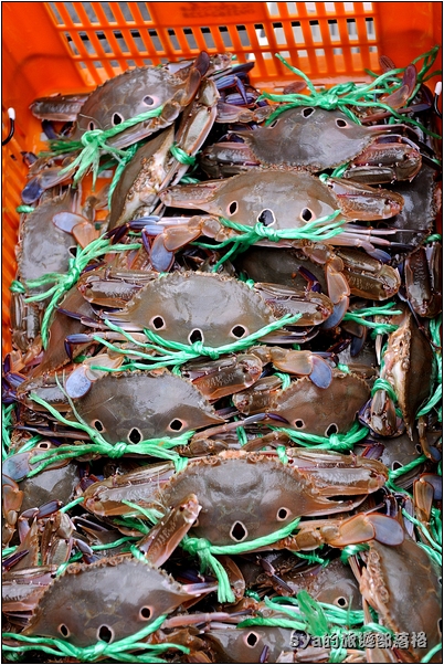 【台北 美食】萬里蟹漁夫料理 | 魚美村活海鮮、漁莊平價海鮮