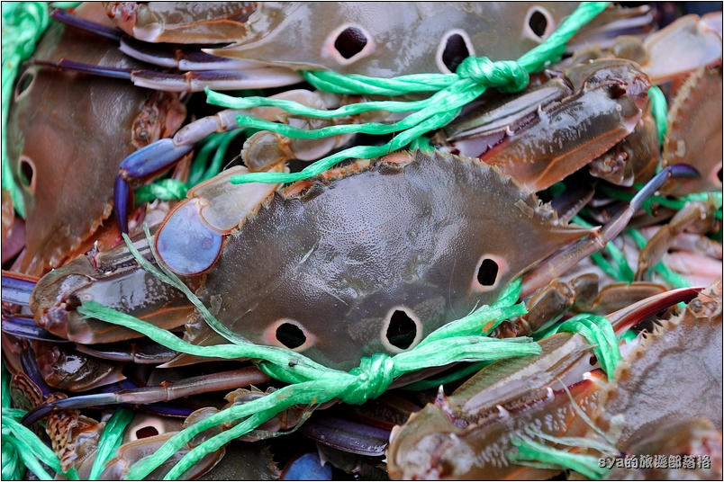 【台北 美食】萬里蟹漁夫料理 | 魚美村活海鮮、漁莊平價海鮮