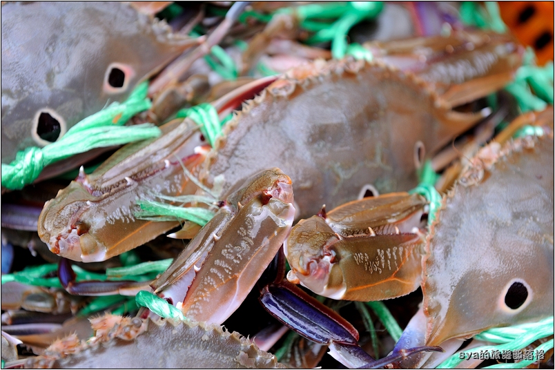 【台北 美食】萬里蟹漁夫料理 | 魚美村活海鮮、漁莊平價海鮮