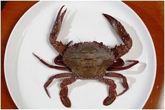 【台北 美食】萬里蟹漁夫料理 | 魚美村活海鮮、漁莊平價海鮮