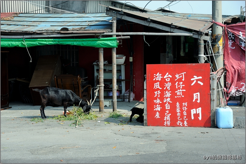 【台南安平 景點】鎮門宮 | 到英雄的故鄉看赤腳的洋門神
