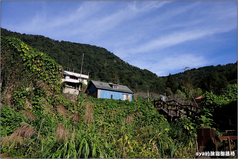 【奮起湖 景點】星空小木屋、百年檜木甜甜圈