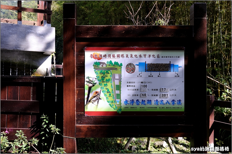 【奮起湖推薦景點】杉林木棧道（台灣杉森林棧道） | 來到奮起湖一定要走的私房景點