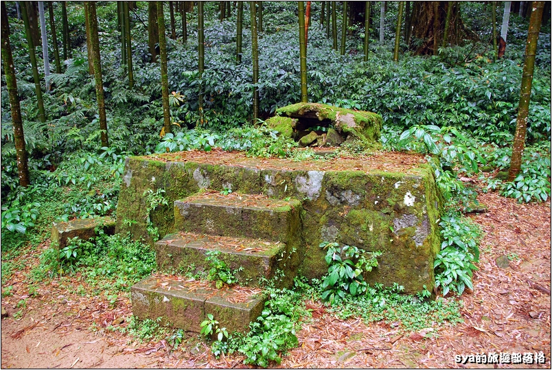 【嘉義推薦景點】奮起湖步道、觀景台、神社 | 走走森林步道，體驗不一樣的奮起湖行程