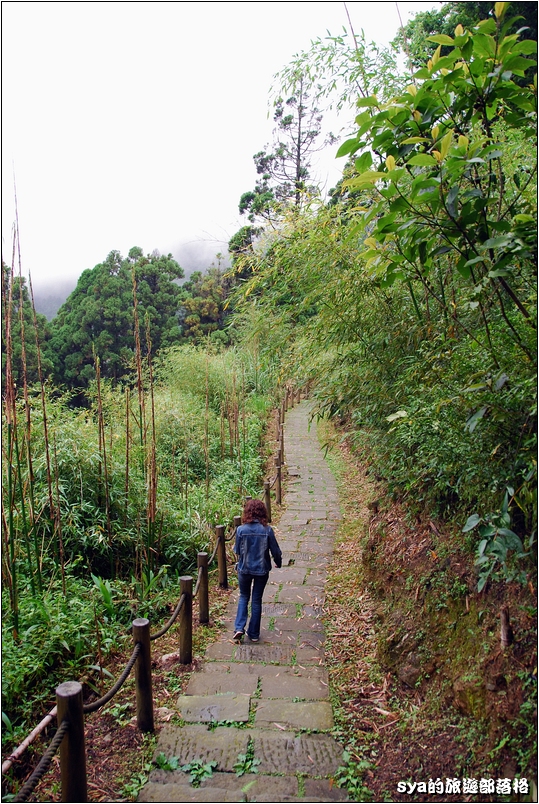 【嘉義推薦景點】奮起湖步道、觀景台、神社 | 走走森林步道，體驗不一樣的奮起湖行程