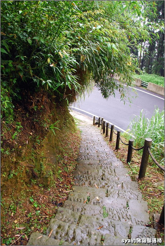 【嘉義推薦景點】奮起湖步道、觀景台、神社 | 走走森林步道，體驗不一樣的奮起湖行程