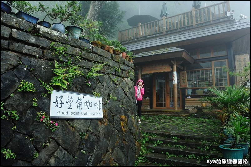 【嘉義推薦景點】奮起湖步道、觀景台、神社 | 走走森林步道，體驗不一樣的奮起湖行程