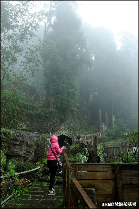 【嘉義推薦景點】奮起湖步道、觀景台、神社 | 走走森林步道，體驗不一樣的奮起湖行程