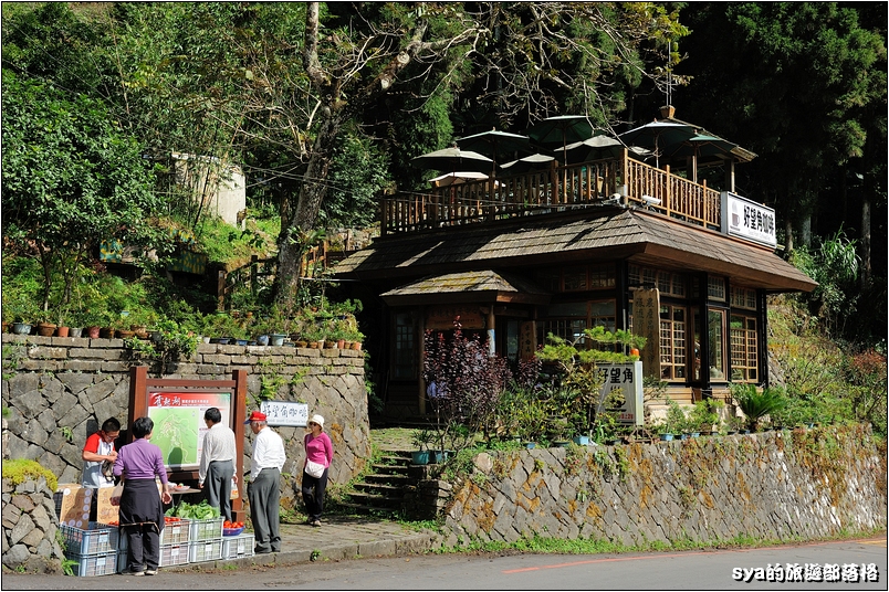 【嘉義推薦景點】奮起湖步道、觀景台、神社 | 走走森林步道，體驗不一樣的奮起湖行程