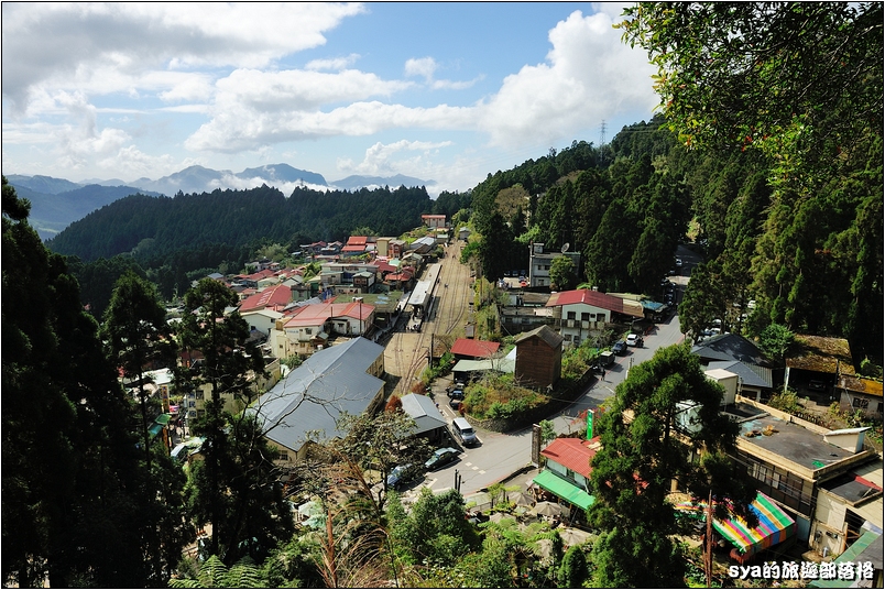【嘉義推薦景點】奮起湖步道、觀景台、神社 | 走走森林步道，體驗不一樣的奮起湖行程