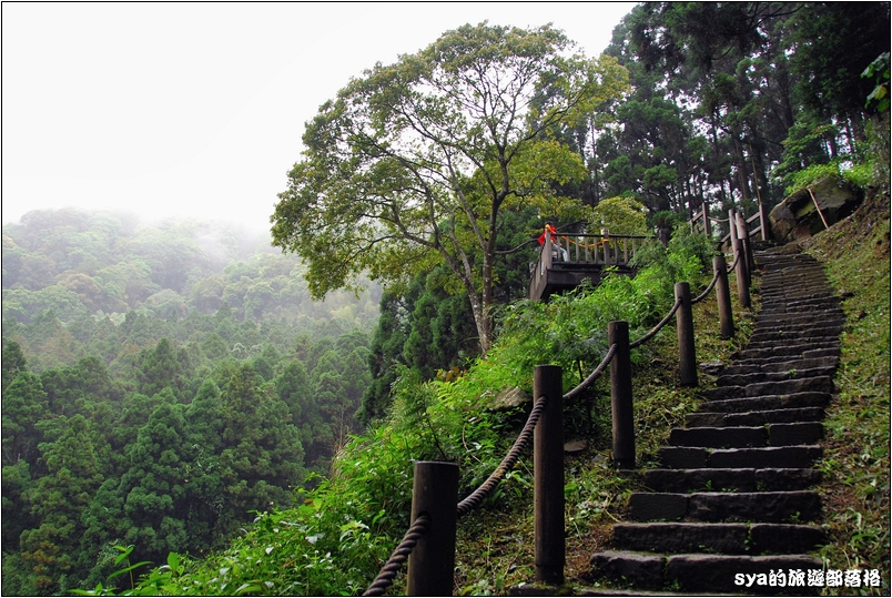 【嘉義推薦景點】奮起湖步道、觀景台、神社 | 走走森林步道，體驗不一樣的奮起湖行程