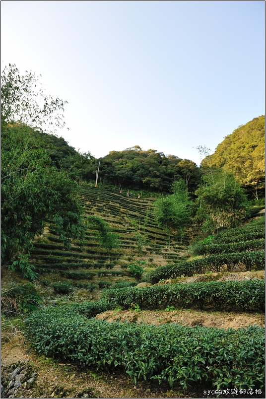 【台北 景點】台灣千島湖。鱷魚島。潭腰、塗潭、直潭