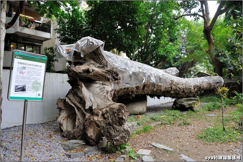 【台北 古蹟餐廳】青田七六 | 都市中的森林巷弄