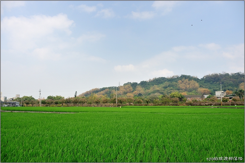 【台中】金陵山宗教藝術園區 | 至善園、白陽聖廟(一貫道祖師紀念館)、圓滿教堂