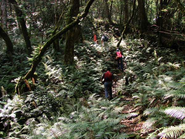 北縣最高峰。塔曼山攻頂