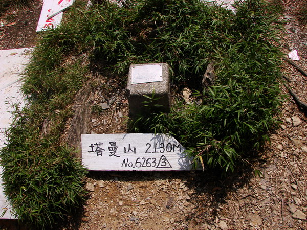 北縣最高峰。塔曼山攻頂