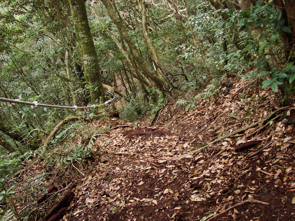 北縣最高峰。塔曼山攻頂