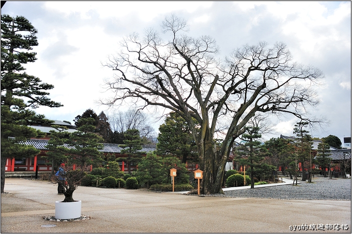 【京都 景點】蓮華王院 三十三間堂 | 一千零一座觀音