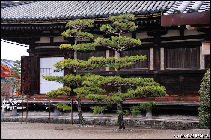 【京都 景點】蓮華王院 三十三間堂 | 一千零一座觀音