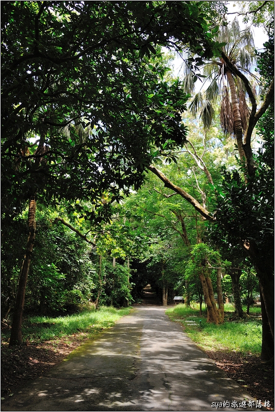 【墾丁 推薦親子景點】墾丁國家森林公園 | 超豐富的生態與自然景觀