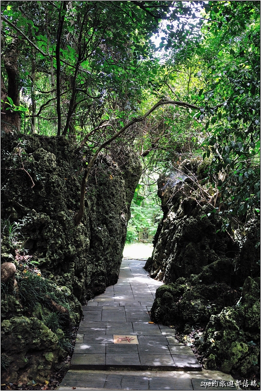 【墾丁 推薦親子景點】墾丁國家森林公園 | 超豐富的生態與自然景觀