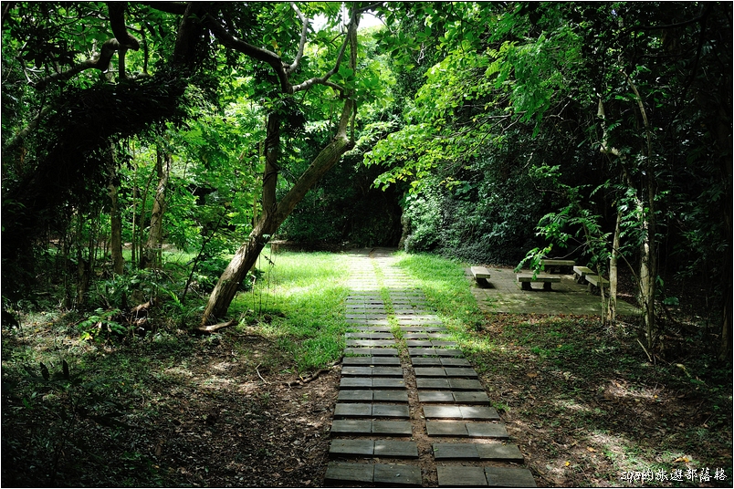 【墾丁 推薦親子景點】墾丁國家森林公園 | 超豐富的生態與自然景觀