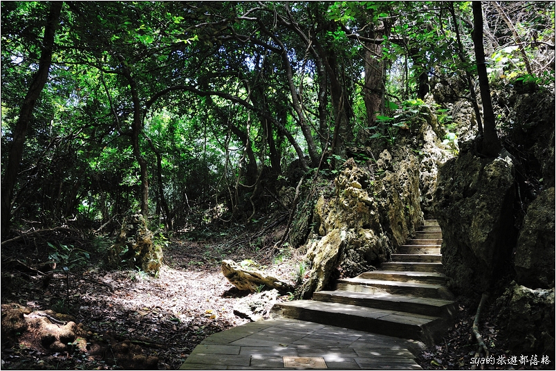 【墾丁 推薦親子景點】墾丁國家森林公園 | 超豐富的生態與自然景觀