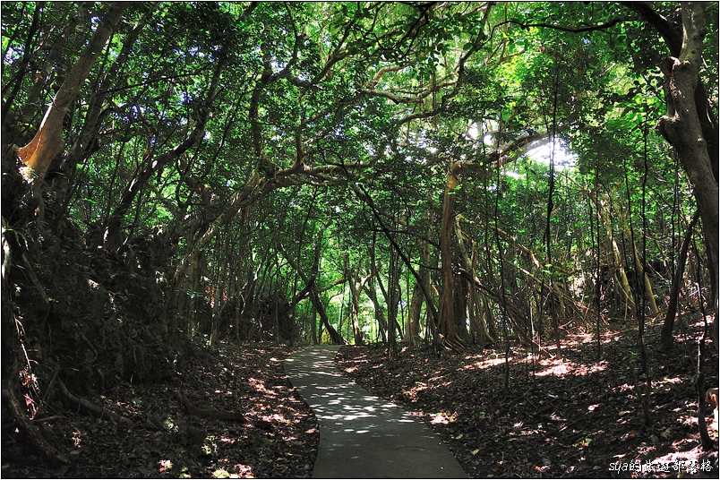 【墾丁 推薦親子景點】墾丁國家森林公園 | 超豐富的生態與自然景觀