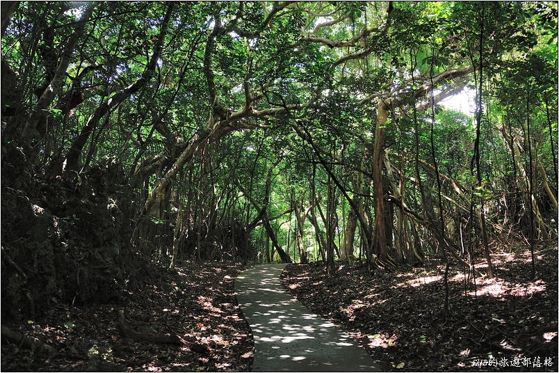 【墾丁 推薦親子景點】墾丁國家森林公園 | 超豐富的生態與自然景觀