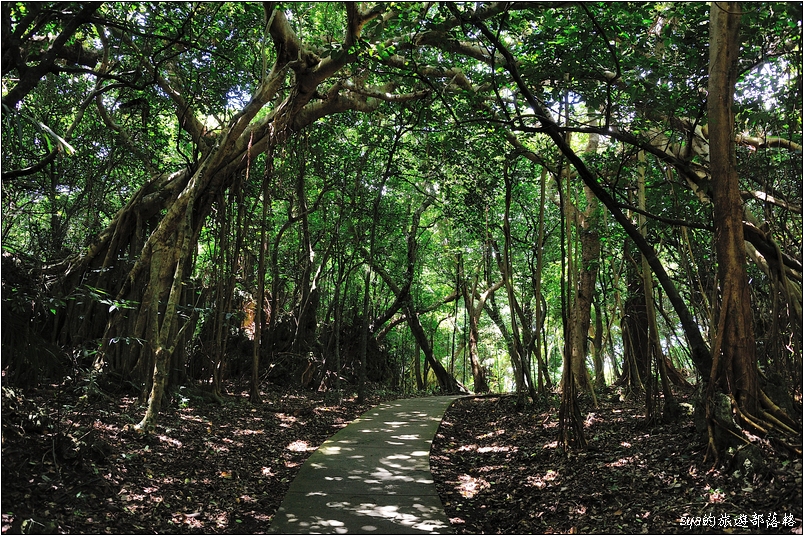 【墾丁 推薦親子景點】墾丁國家森林公園 | 超豐富的生態與自然景觀