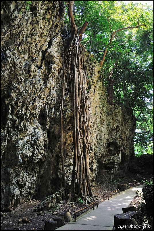 【墾丁 推薦親子景點】墾丁國家森林公園 | 超豐富的生態與自然景觀