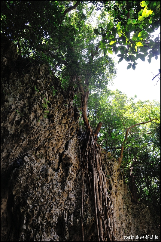 【墾丁 推薦親子景點】墾丁國家森林公園 | 超豐富的生態與自然景觀