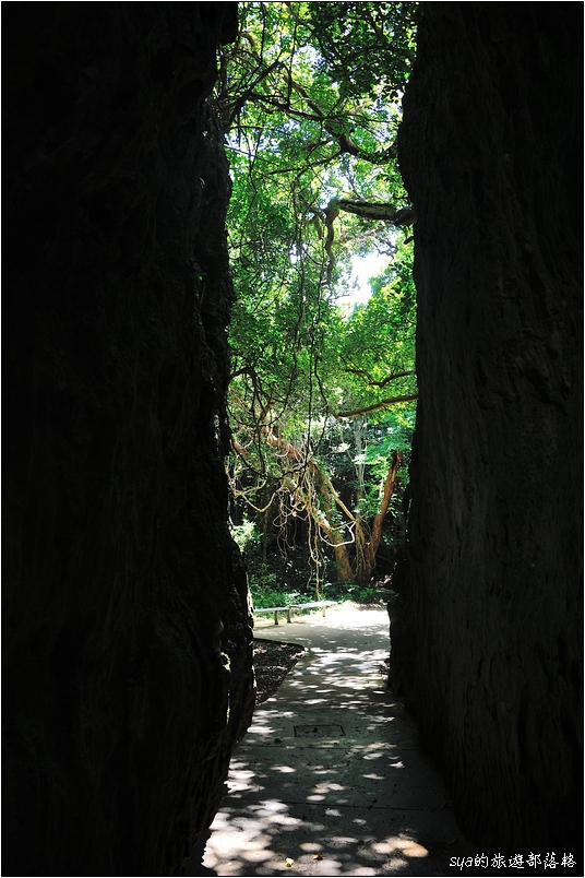 【墾丁 推薦親子景點】墾丁國家森林公園 | 超豐富的生態與自然景觀