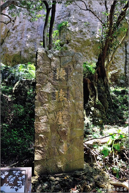 【墾丁 推薦親子景點】墾丁國家森林公園 | 超豐富的生態與自然景觀