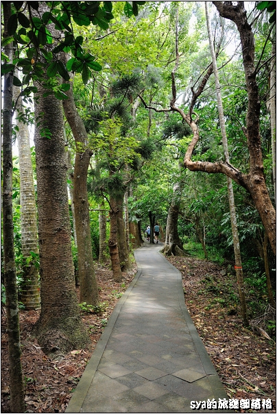 【墾丁 推薦親子景點】墾丁國家森林公園 | 超豐富的生態與自然景觀