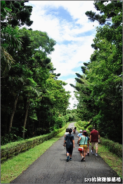 【墾丁 推薦親子景點】墾丁國家森林公園 | 超豐富的生態與自然景觀
