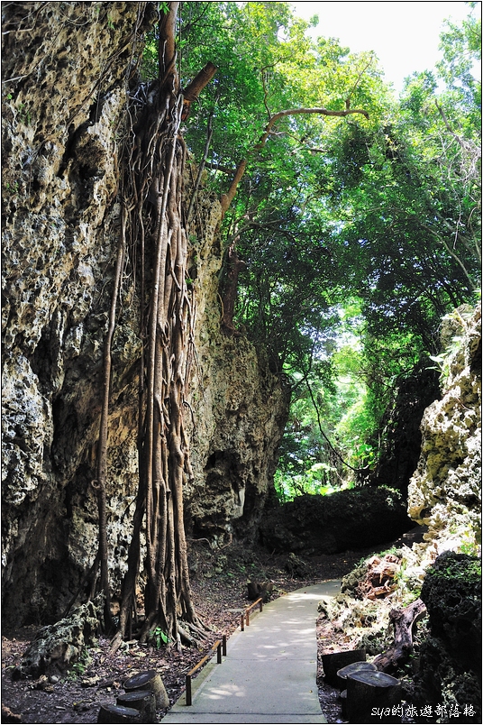【墾丁 推薦親子景點】墾丁國家森林公園 | 超豐富的生態與自然景觀