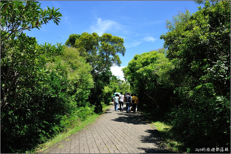 【墾丁 推薦景點】龍鑾潭自然中心 | 適合親子同行的國家級濕地、候鳥賞鳥景點