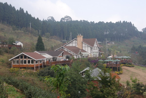 【新竹 景觀餐廳】山上人家 | 山中的歐式風情