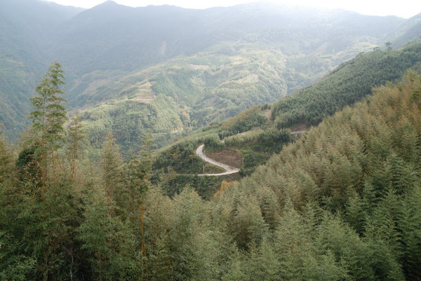 【新竹 景觀餐廳】數碼天空 | 八五山的邂逅